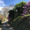 2020/04/05_花桃の郷