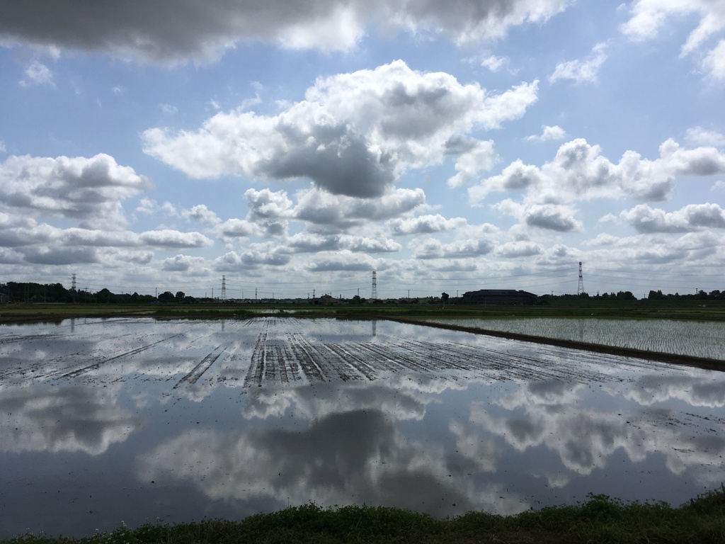 2020/05/24_水田に雲