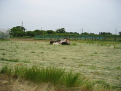 2012/05/20_廃車