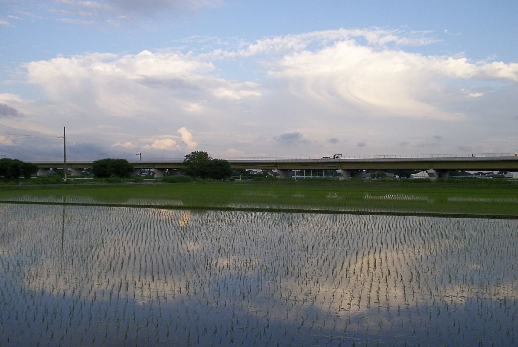 2015/06/21_水田に雲