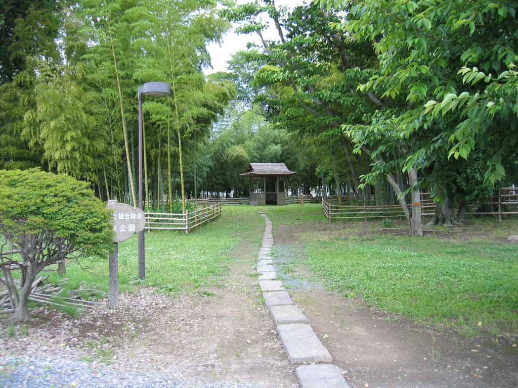 2012/06/10_竹林公園
