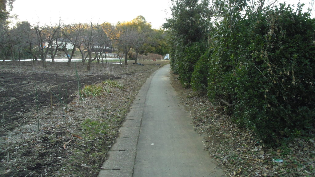 2013/01/27_畑の中の道