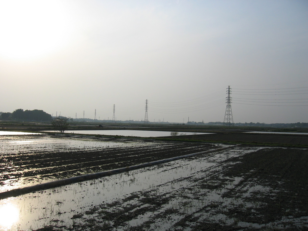 2007/05/05_田園