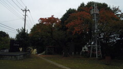 2012/11/11_天神社