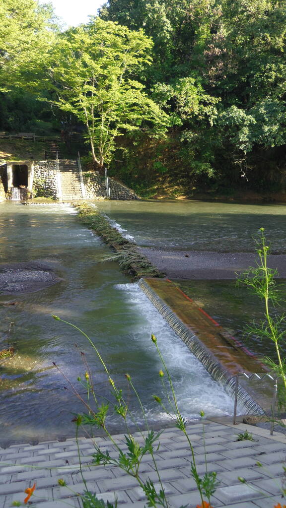 2013/09/17_冠水中のドレミファ橋