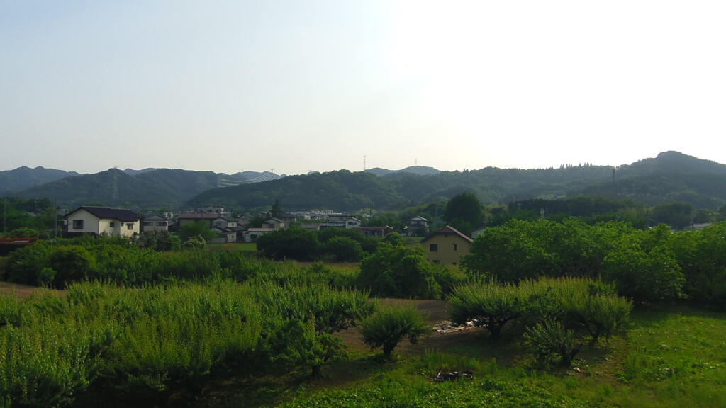 2013/06/08_外秩父の山並み