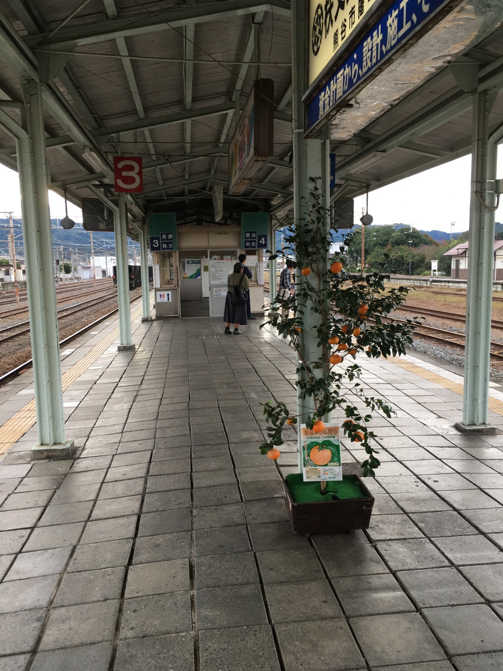 2019/10/19_寄居駅のみかん狩り案内