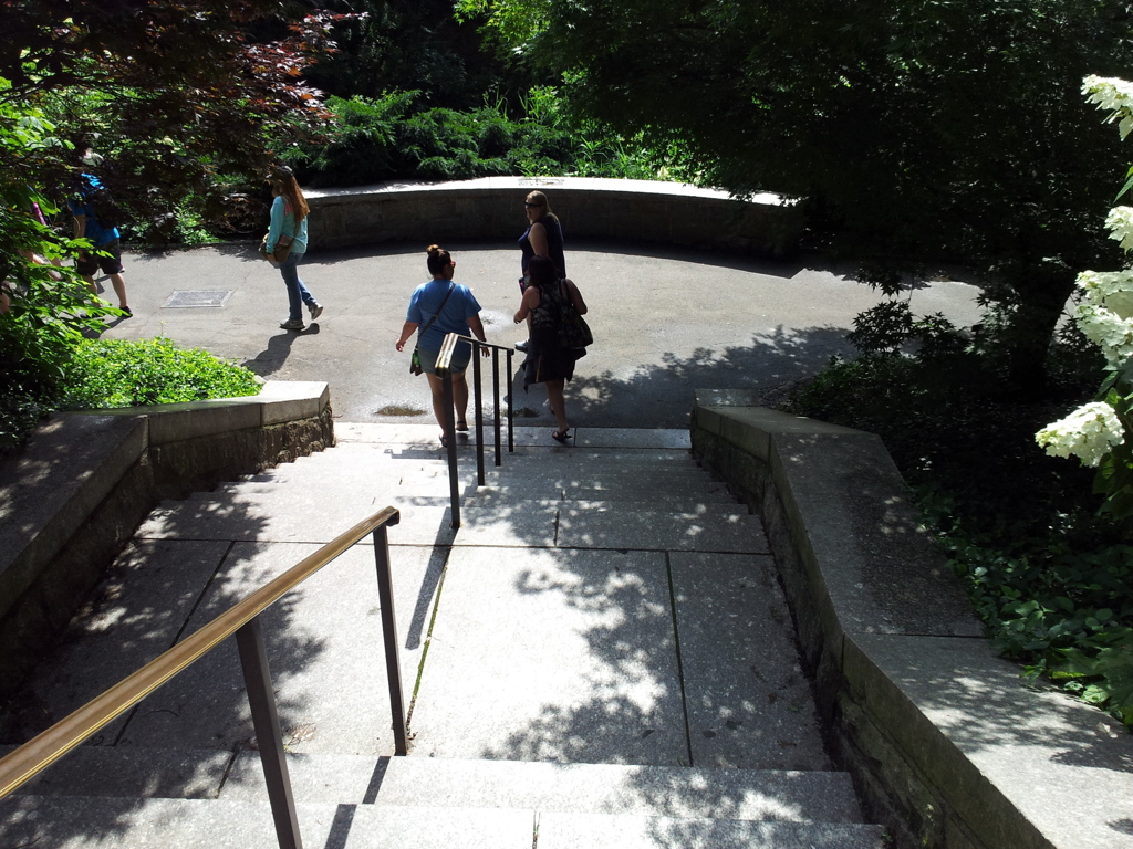 2019/06/16_セントラル・パーク