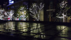 2013/11/16_夜の東京ミッドタウン