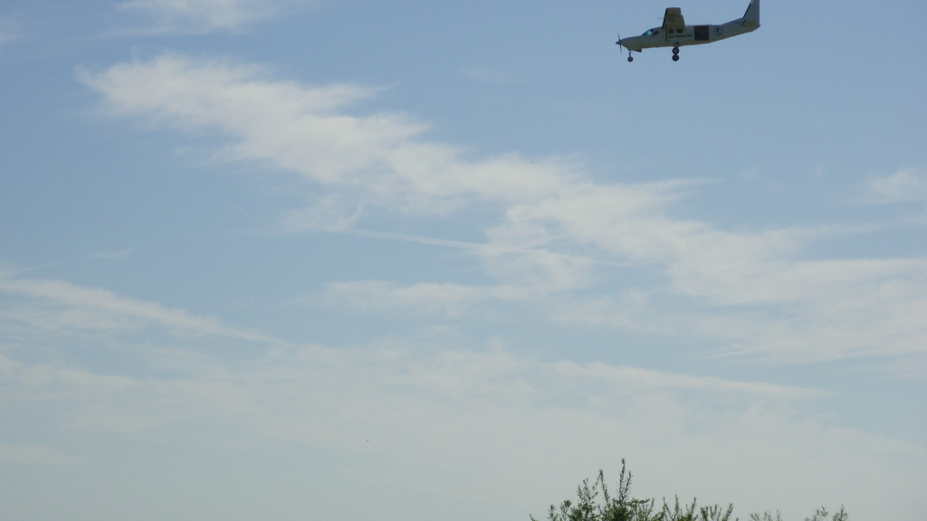 2013/09/17_飛行機（没カット）