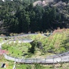 2020/04/05_花桃の郷のうねる道