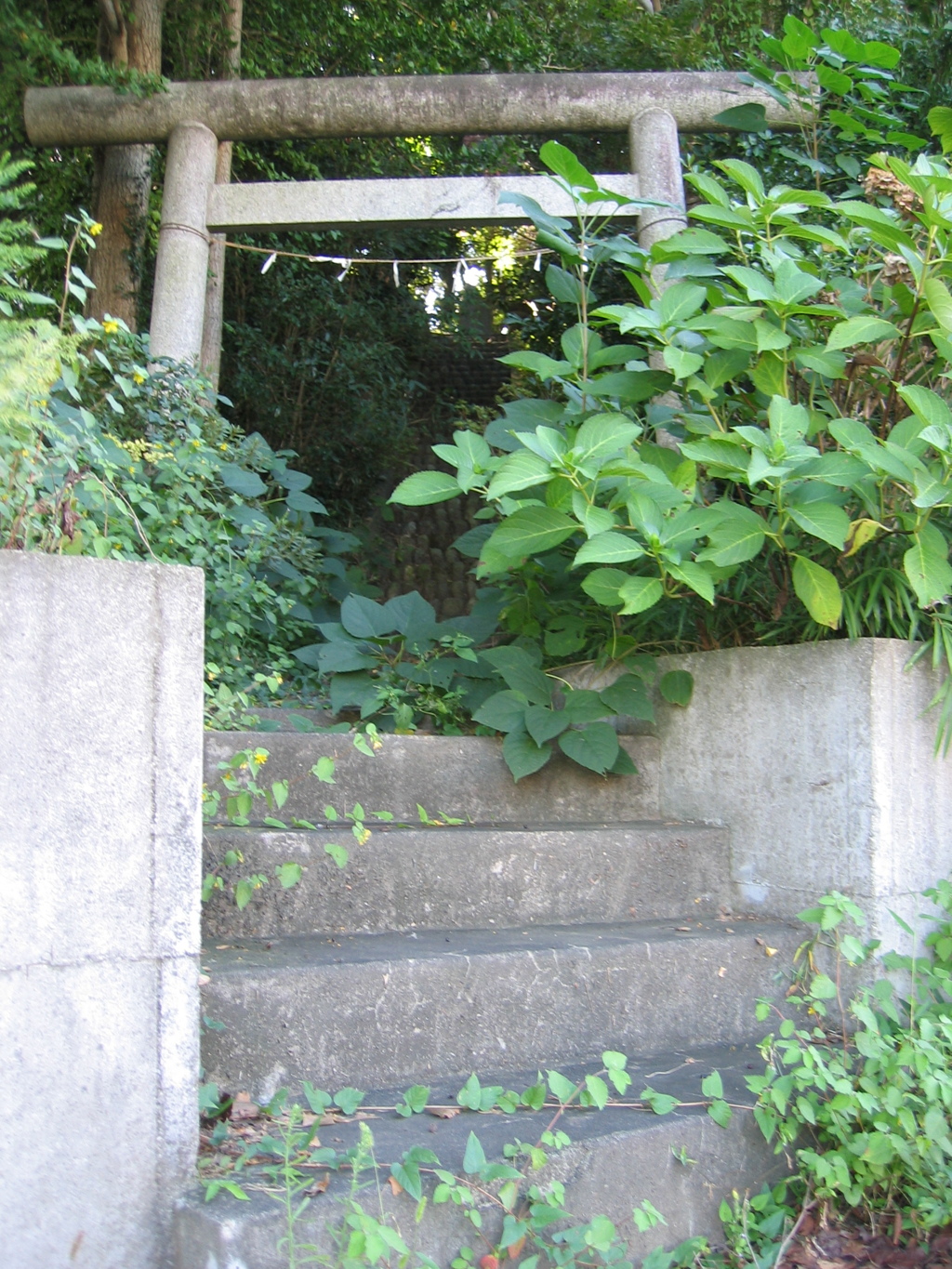 2012/09/29_御嶽山古墳（没カット）