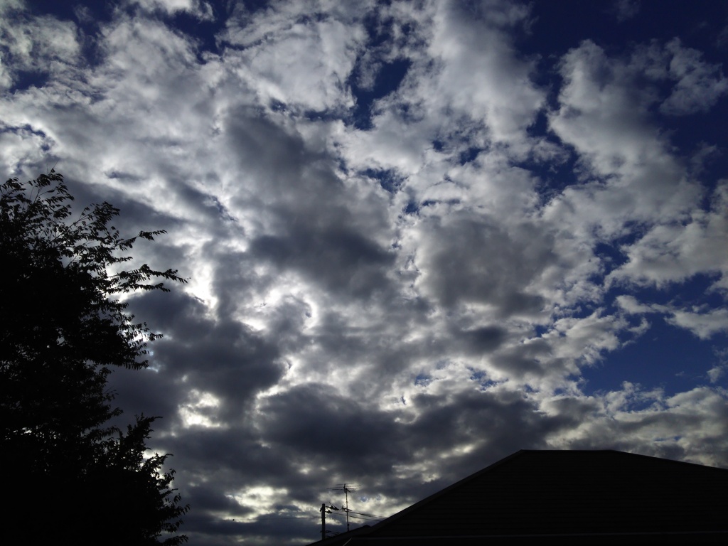 2016/11/09_秋の空