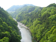 2012/05/19_日野鷺橋から荒川上流を望む