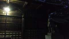 2013/11/03_氷川神社の明かりと狛犬