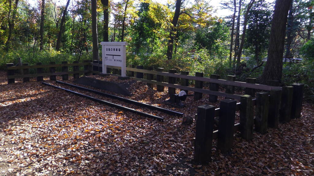 2013/11/30_トロッコ公園 白鳥の停車場