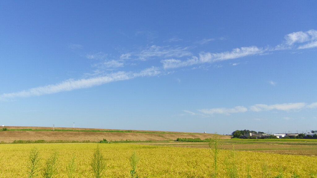 2013/09/17_土手と空