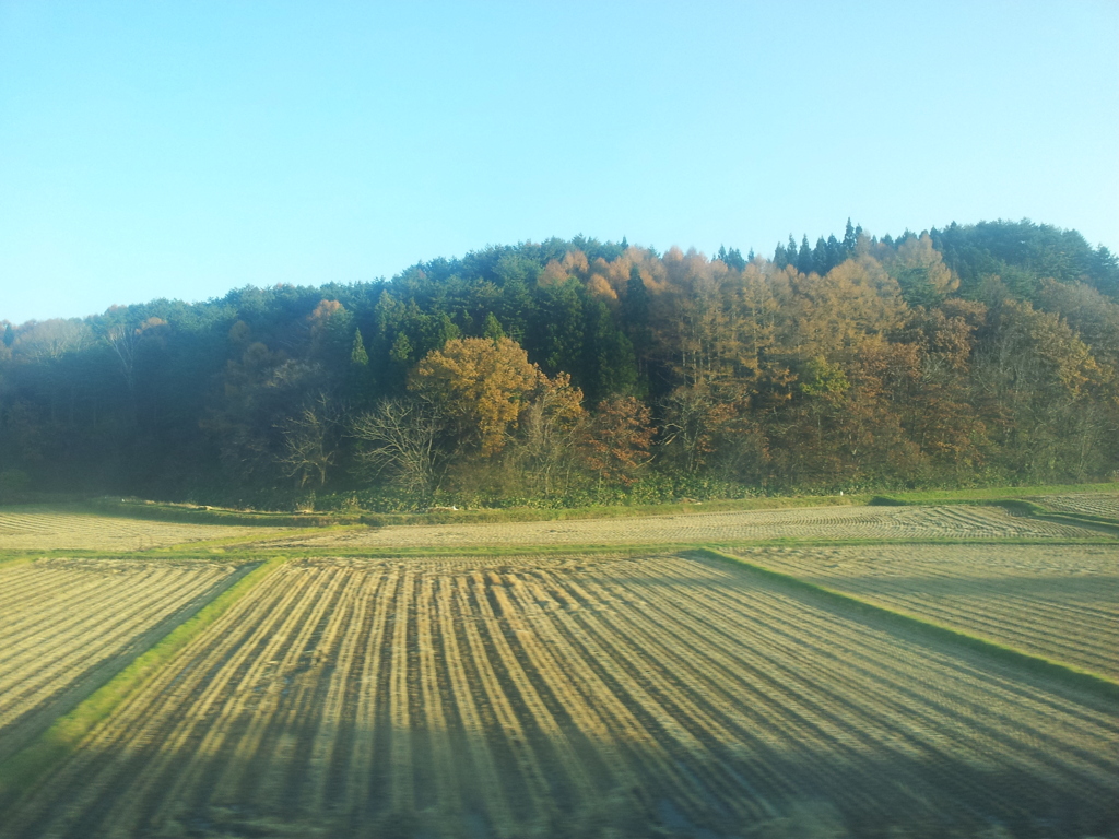 2016/11/14_奥羽本線 弘前〜新青森間の車窓風景