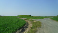 2013/04/13_荒川河川敷の堤防?