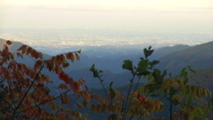 2012/11/10_奥多摩山中からの眺め