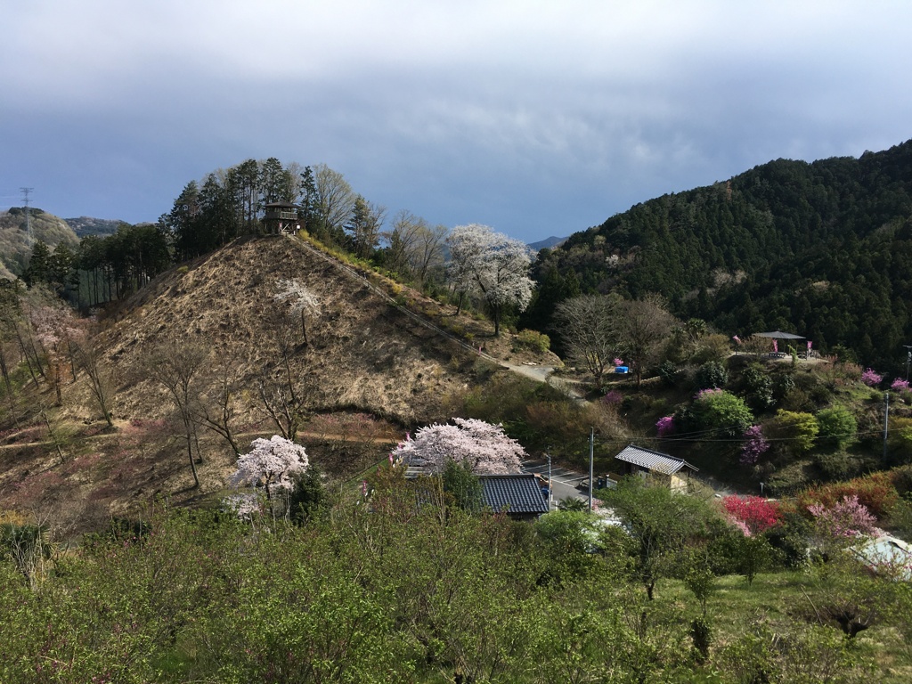 2020/04/05_花桃の郷