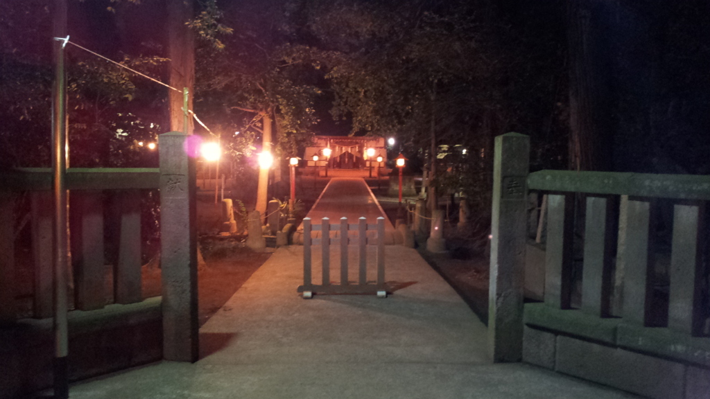 2013/12/31_夜の氷川神社