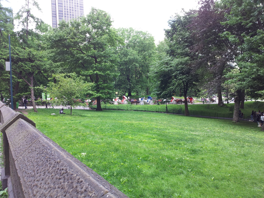 2019/06/14_セントラル・パーク