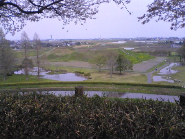 2012/04/15_さきたま古墳公園 丸墓山古墳から稲荷山古墳を望む