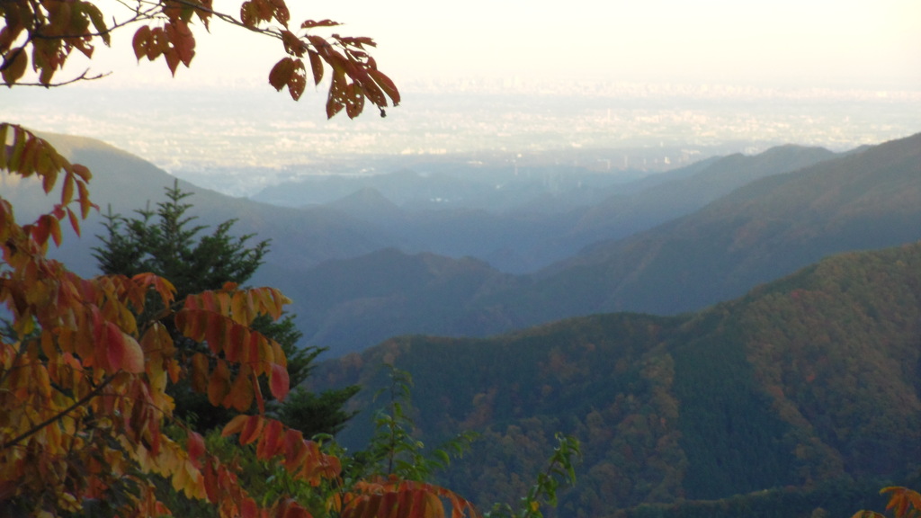 2012/11/10_奥多摩山中からの眺め