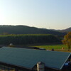 2013/11/24_牧場