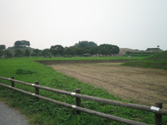 2009/08/22_さきたま古墳公園 丸墓山古墳と稲荷山古墳