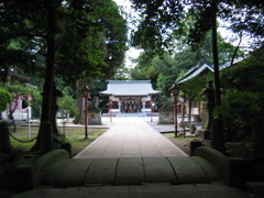 2012/07/16_小室氷川神社（没カット）