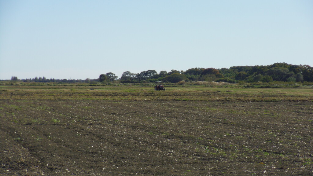 2012/11/10_荒川河川敷のトラクター