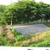2012/06/17_川辺の席