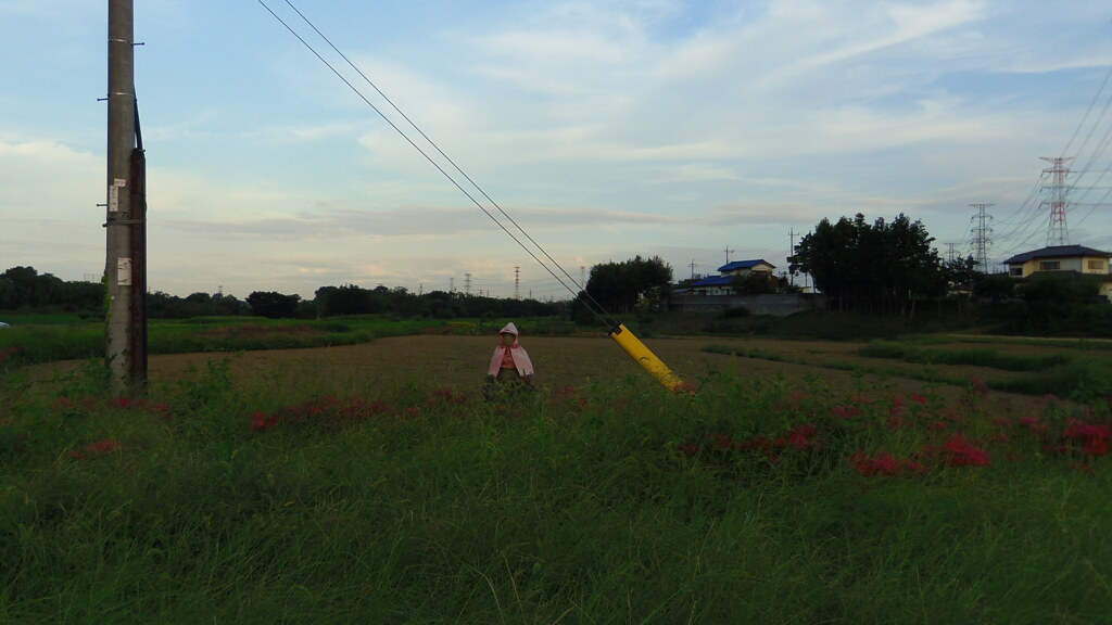 2013/09/28_路傍の石像と彼岸花
