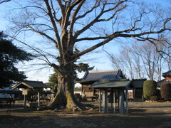 2012/01/28_氷川神社