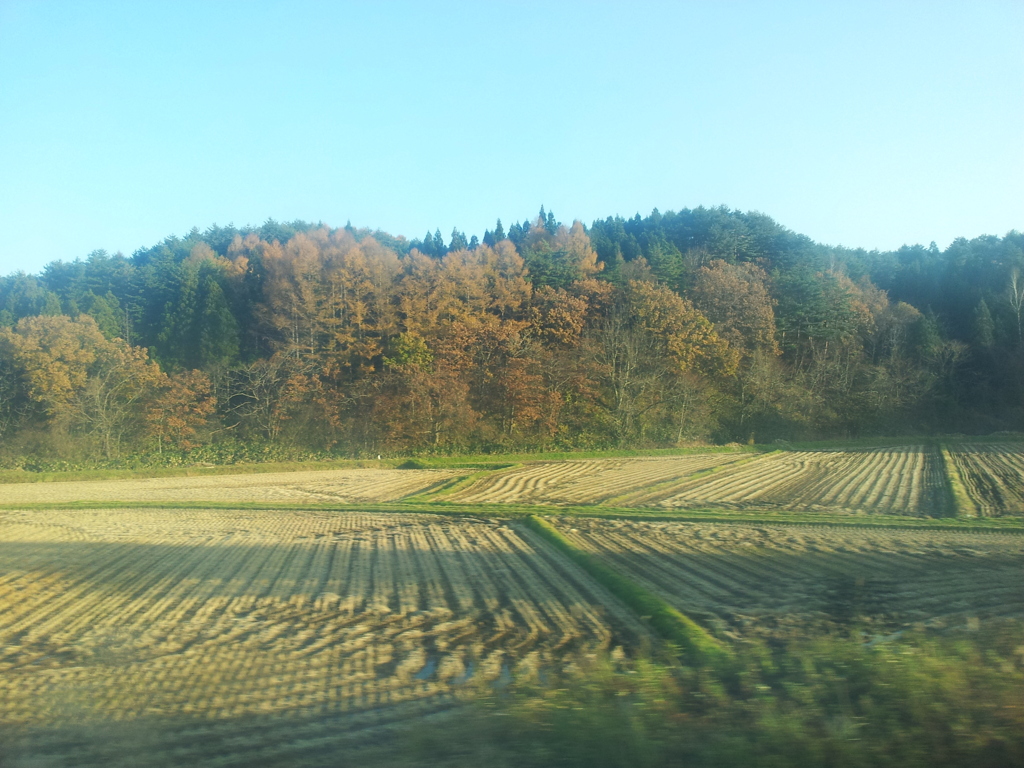 2016/11/14_奥羽本線 弘前〜新青森間の車窓風景