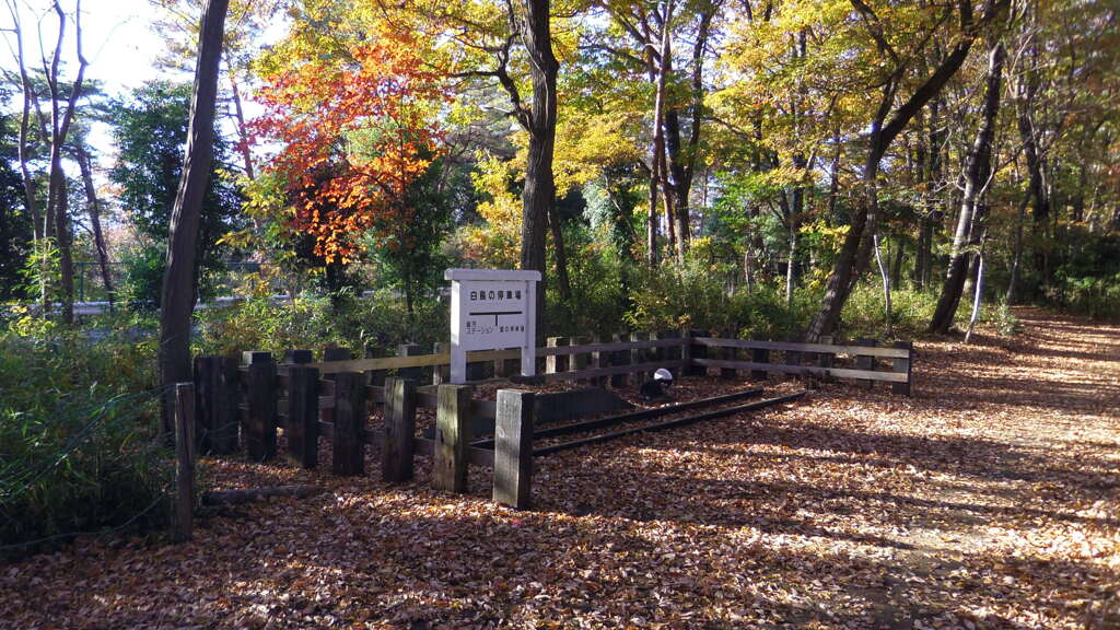 2013/11/30_トロッコ公園 白鳥の停車場