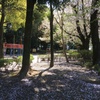 2020/04/06_氷川児童公園の桜