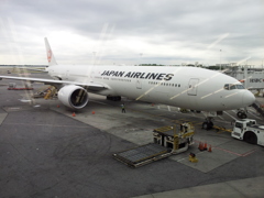 2019/06/17_JALの飛行機