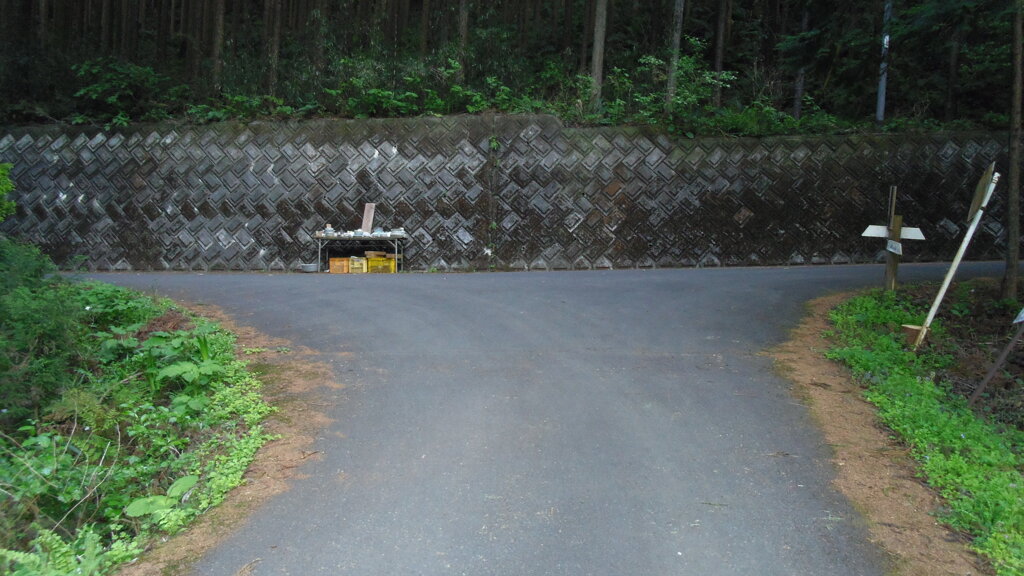 2013/05/03_外秩父山中のT字路