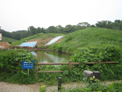 2009/08/22_さきたま古墳公園 奥の山古墳