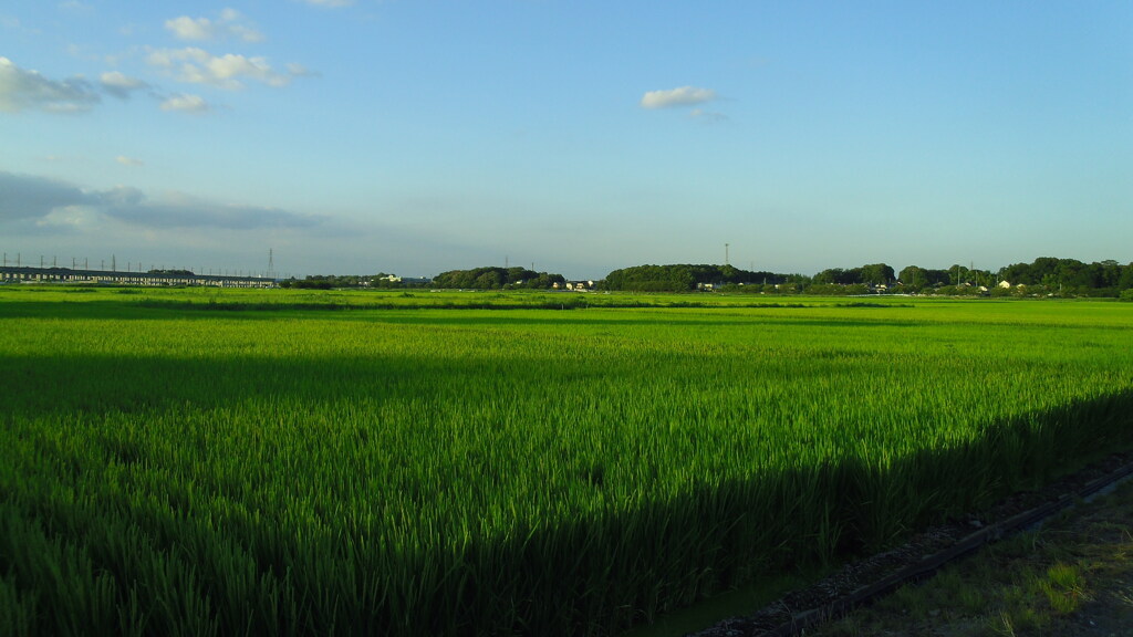 2012/08/05_田園