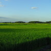 2012/08/05_田園