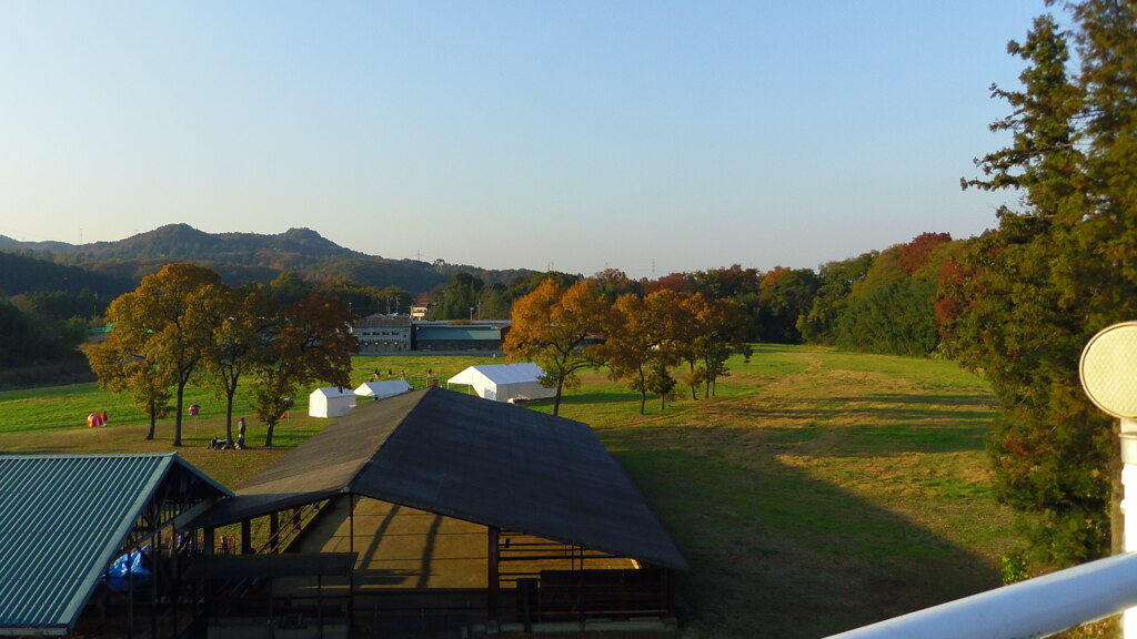 2013/11/24_牧場
