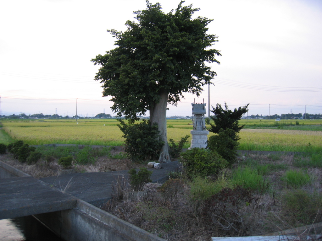 2012/09/09_田んぼの中の社（没カット）