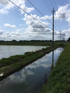 2020/05/24_用水路と水田に雲
