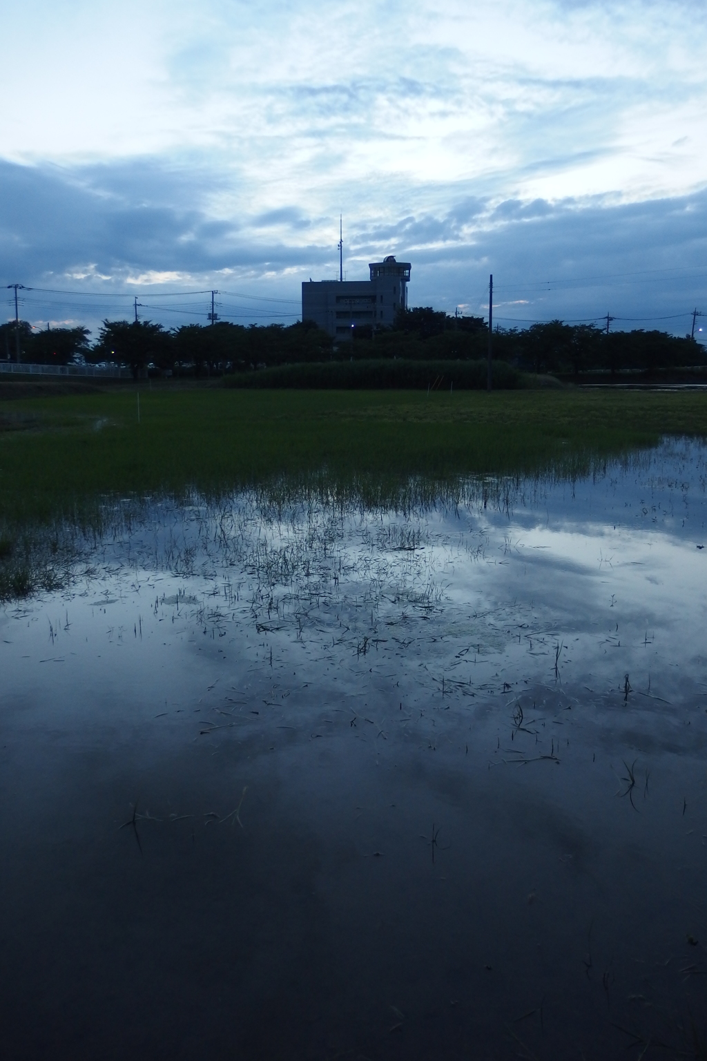 2015/06/21_夕暮れのラブミー農場跡地