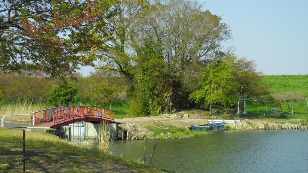2013/04/13_鳥羽井沼自然公園