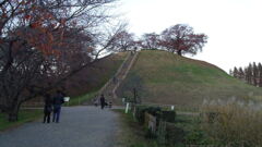 2012/11/24_さきたま古墳公園 丸墓山古墳